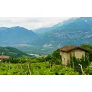 Los sellos del Trentino, descubriendo la biodiversidad rural entre valles y montaña