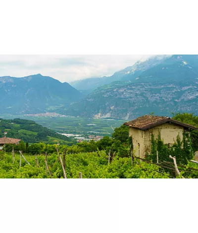 Los sellos del Trentino, descubriendo la biodiversidad rural entre valles y montaña