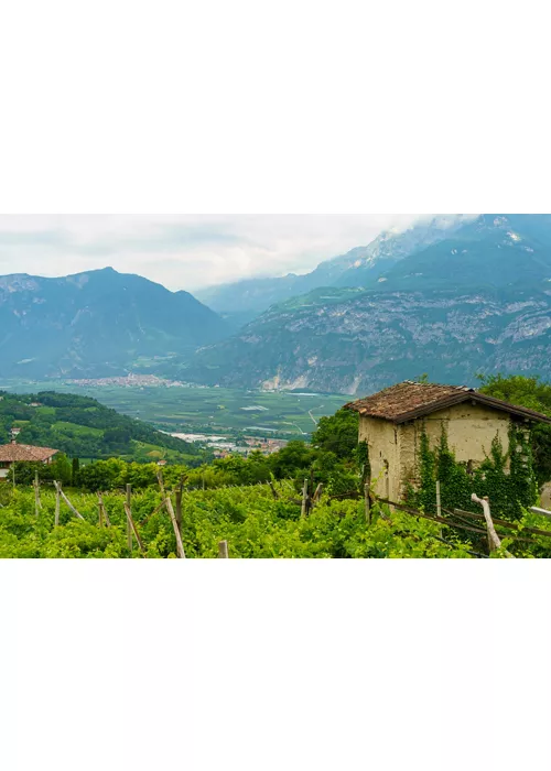 Los sellos del Trentino, descubriendo la biodiversidad rural entre valles y montaña