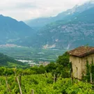 Los sellos del Trentino, descubriendo la biodiversidad rural entre valles y montaña