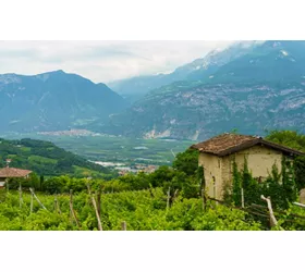 I sigilli del Trentino, alla scoperta della biodiversità contadina tra valli e montagne