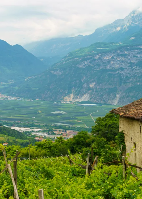 I sigilli del Trentino, alla scoperta della biodiversità contadina tra valli e montagne