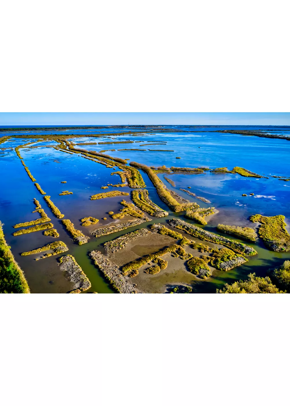 Po Delta, a birdwatching paradise