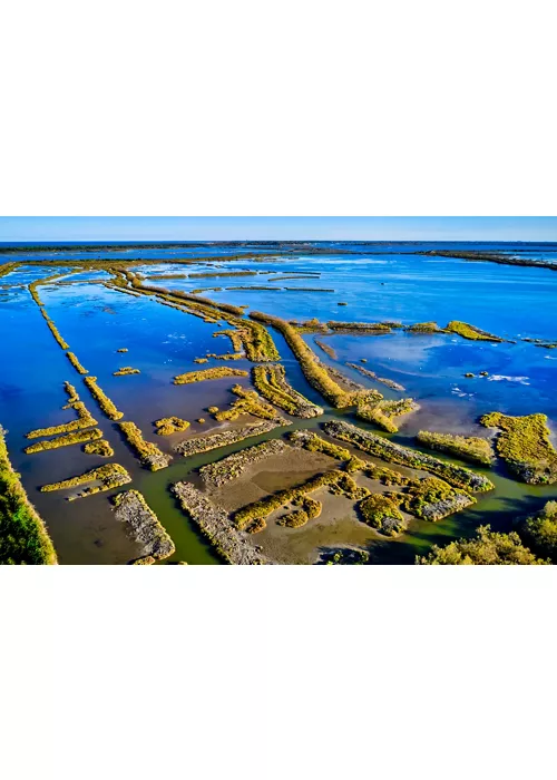 Das Po-Delta, ein Paradies für Vogelbeobachter