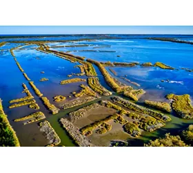Delta del Po, il paradiso del birdwatching