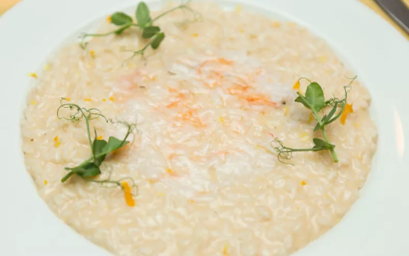 Bologna mit Botanica Lab