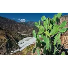 Riding through the Aspromonte National Park, from Canolo to Zervò