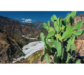 Riding through the Aspromonte National Park, from Canolo to Zervò