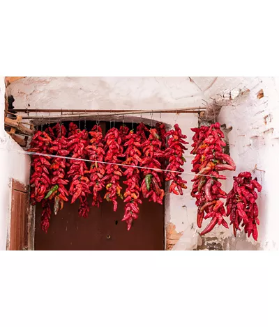 Calabria, tierra de gustos apasionados y sabores explosivos 