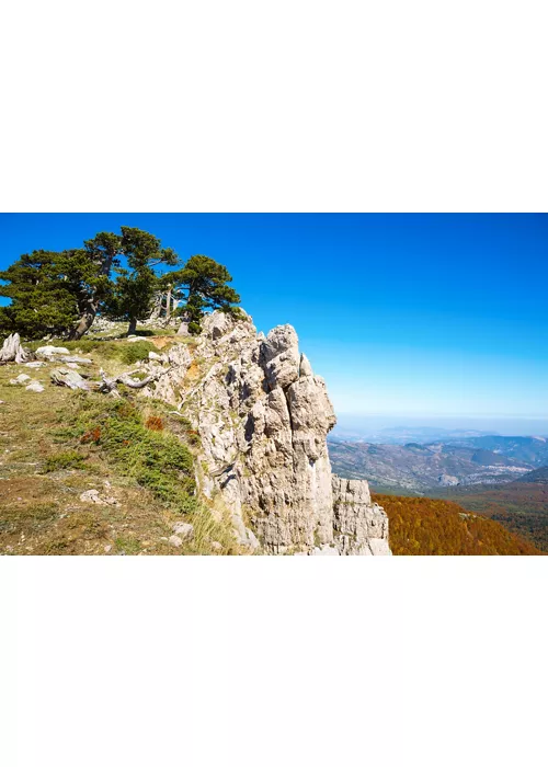 Marcher dans le parc du Pollino avec le regard toujours tourné vers l'horizon