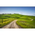 Discovering the historical paths in Emilia