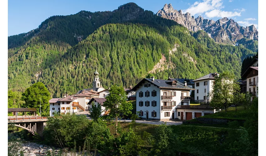 International Mountain Day