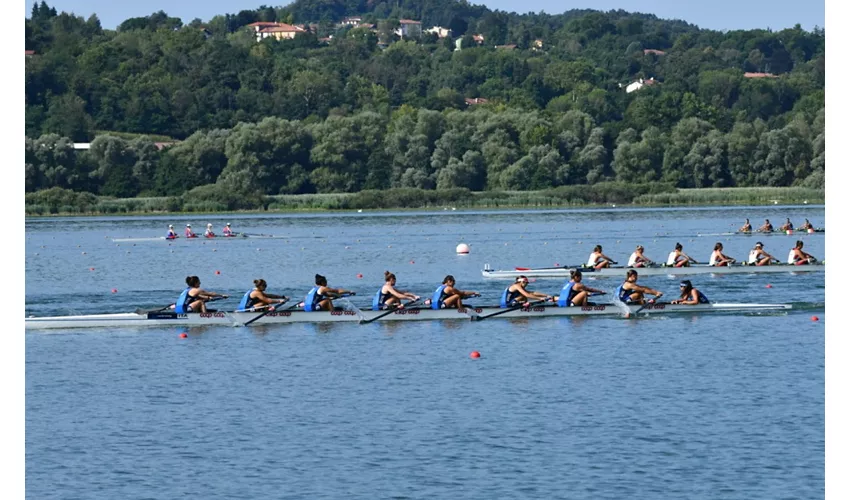 canottaggio-1