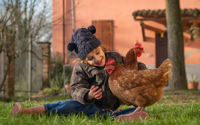 fin de año con niños en una granja