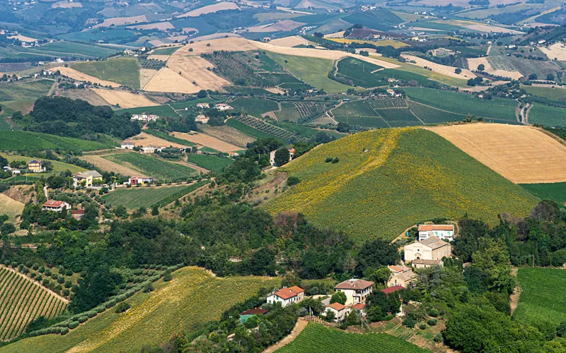 grifoni shards in ripatransone