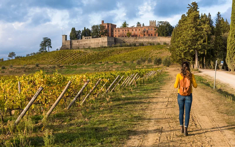 colline senesi