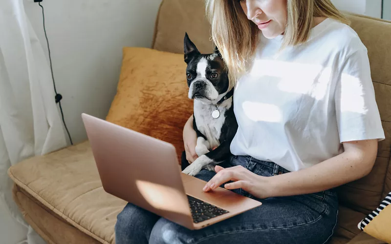 Chica trabajando en un ordenador con su perro