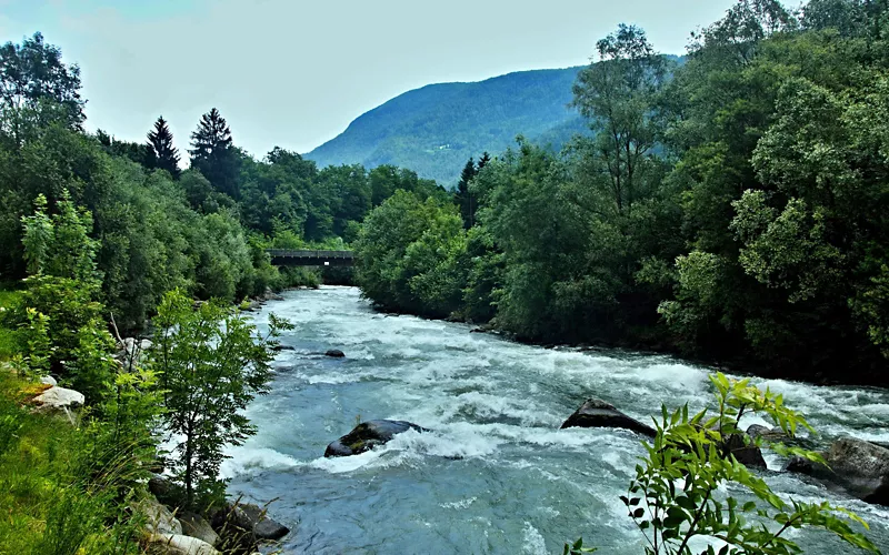 Mit Freunden oder der Familie, inklusive Kinder
