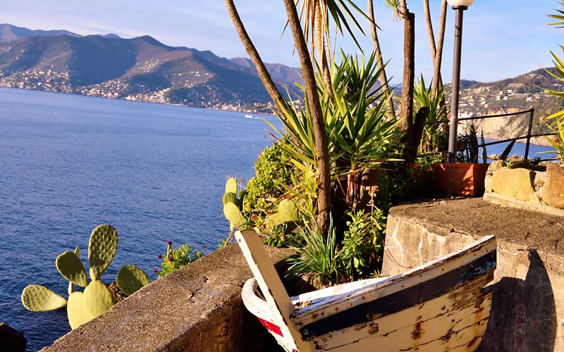Palme che affacciano sul mare