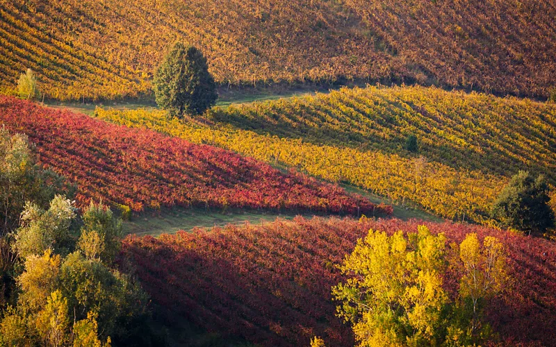 colina de otoño