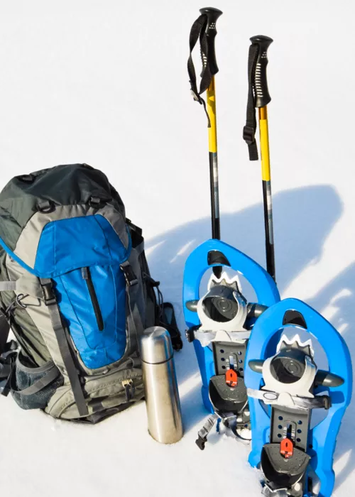 what you need for snowshoeing