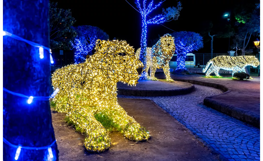 what to see in gaeta for christmas