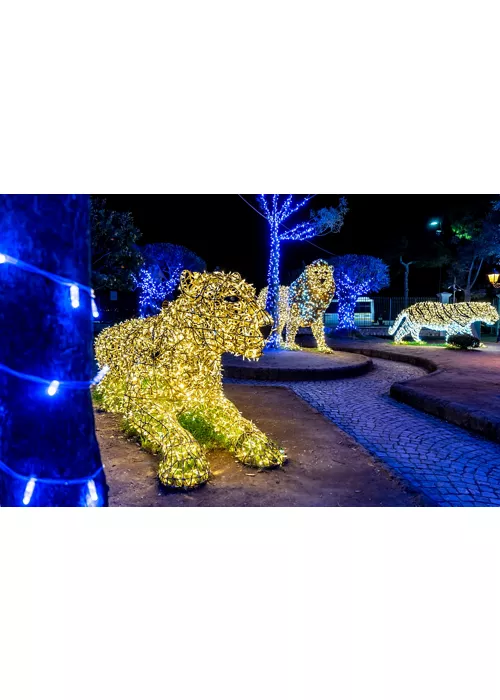 what to see in gaeta for christmas