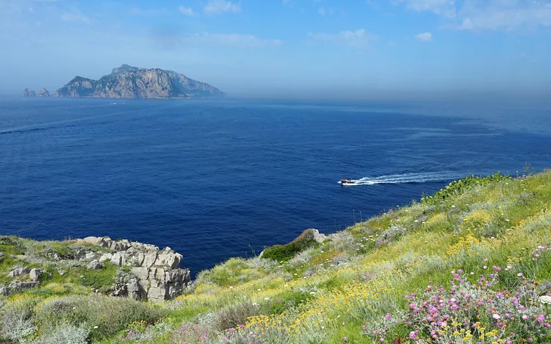 Paesaggio di Punta Campanella