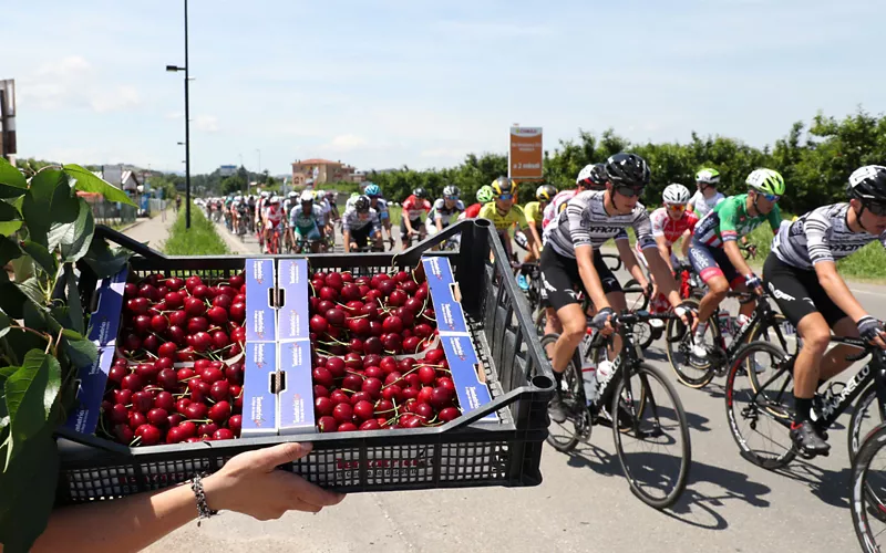 Crescentine, lambrusco and Vignola cherries for a well-deserved refreshment