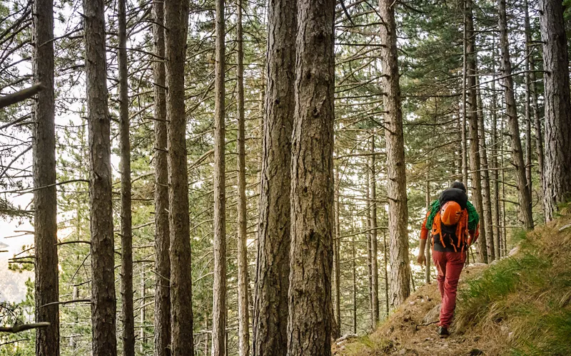 Woman hiker on summer hiking in Tuscany enjoying promenade Stock Photo by  ©CITAlliance 250109576