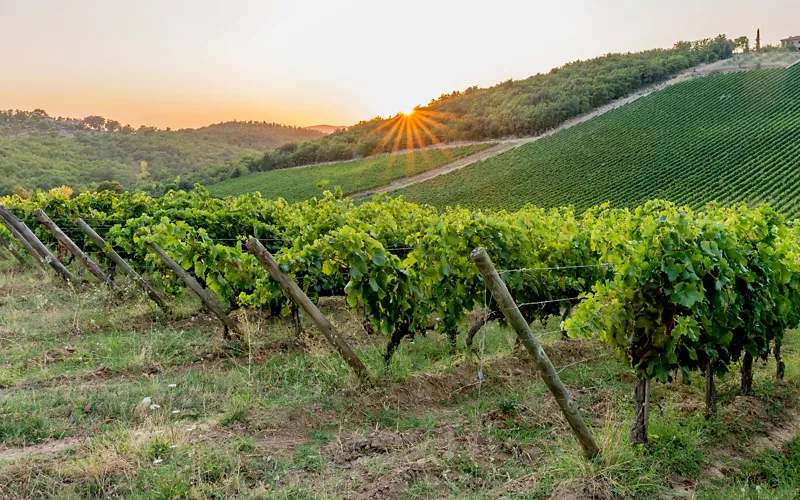Depuis Antinori, dans la maison du Chianti