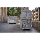 Dante a Ravenna, tra francescani, mosaici bizantini e pini domestici