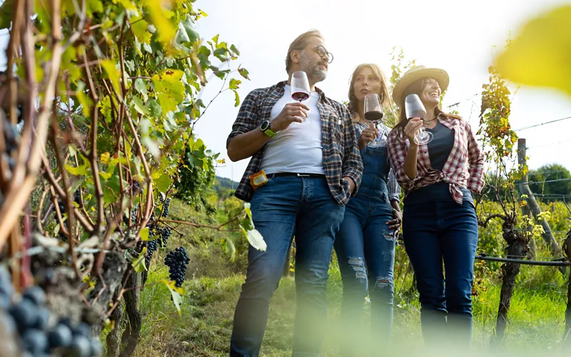 wine tasting trento