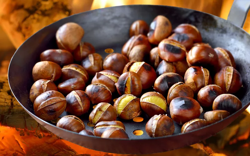 Tasting roasted chestnuts