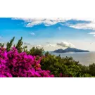 Enogastronomia, arte e natureza: delícias de Sorrento