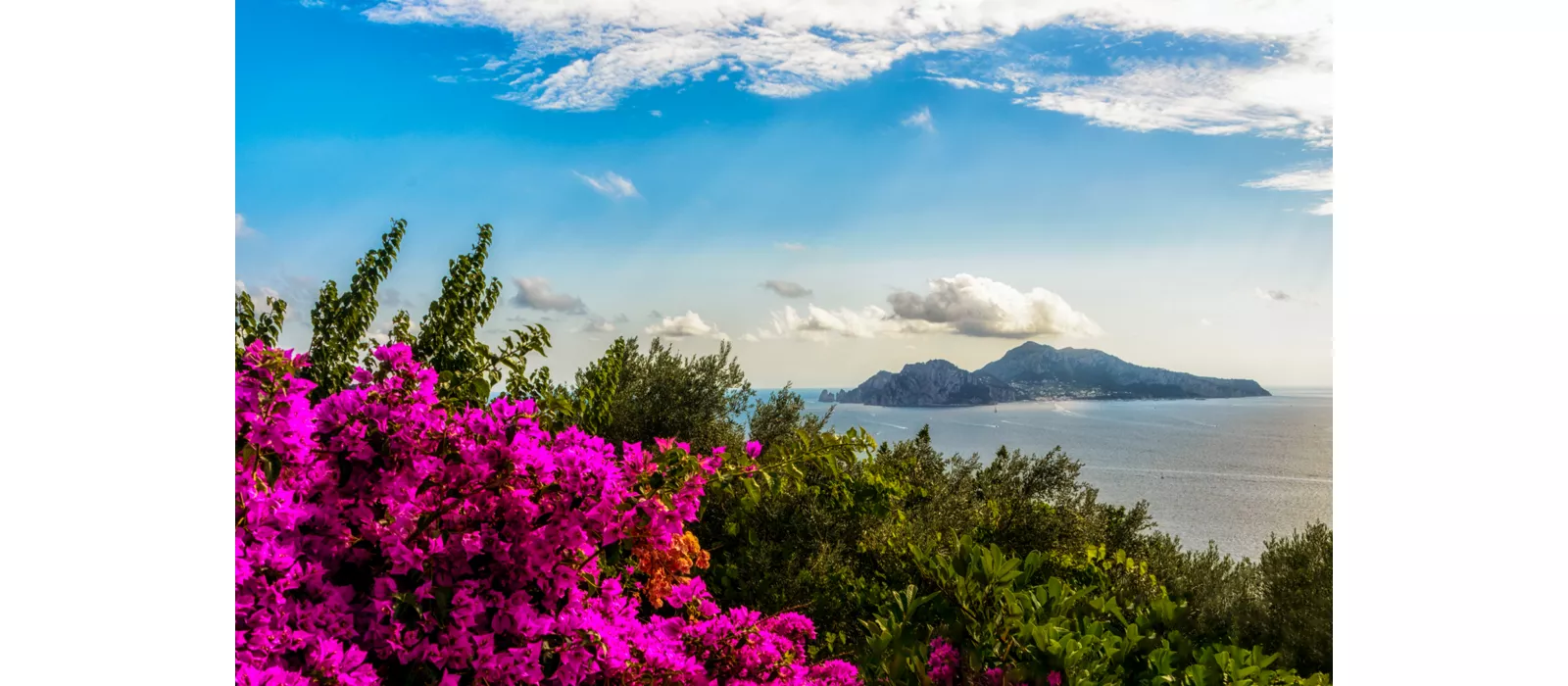 Enogastronomia, arte e natureza: delícias de Sorrento