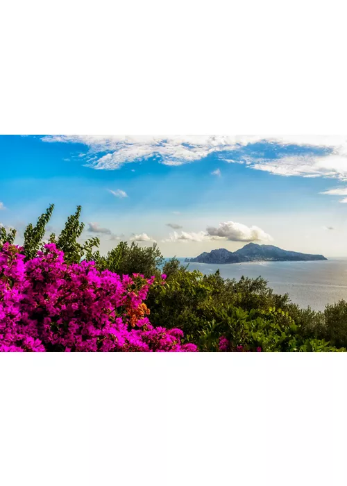 Enogastronomia, arte e natureza: delícias de Sorrento