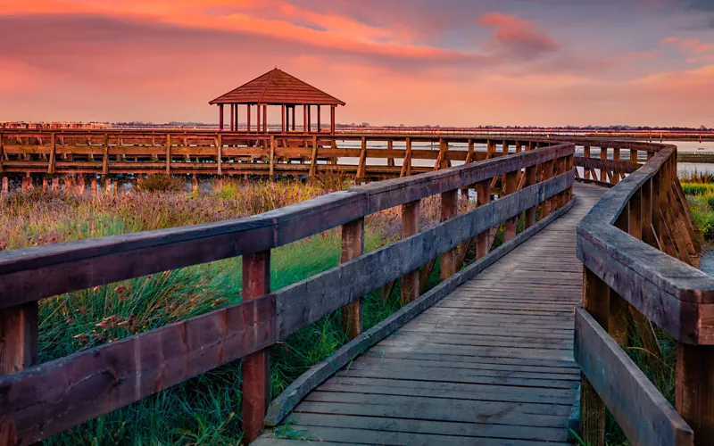 Die verschiedenen Facetten eines faszinierenden Ökosystems