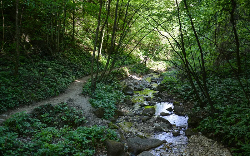 Divertimento e avventura: tour esplorativi