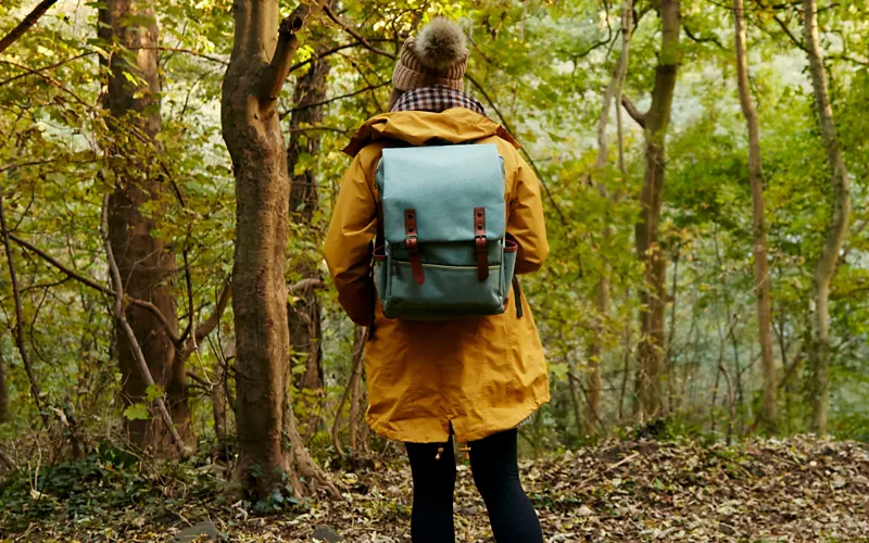 Dolomiti Paganella: ein Bad im Wald