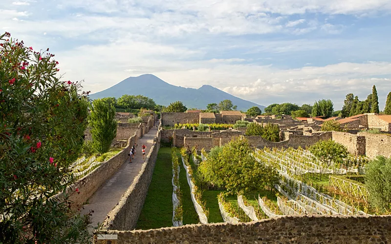 La Rutas del Vino