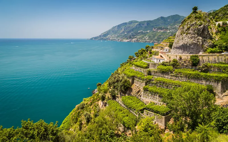 A tour of Campania in a glass. Main varieties and winegrowing areas