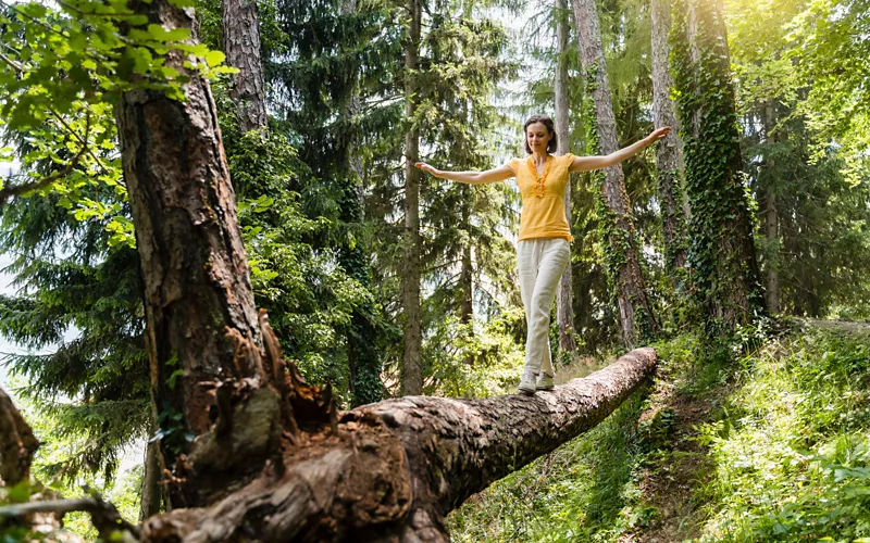 De dónde viene la terapia forestal y sus beneficios