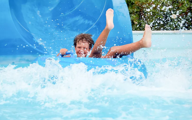 Ein Picknick in Gesellschaft