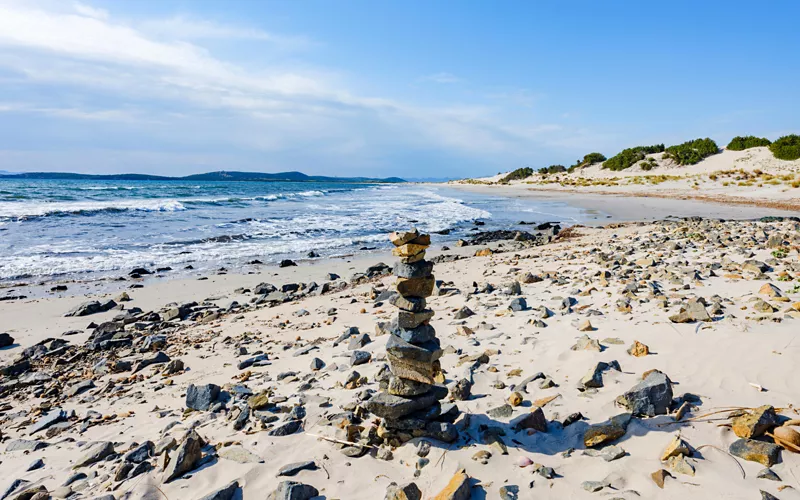 Das perfekte Ökosystem