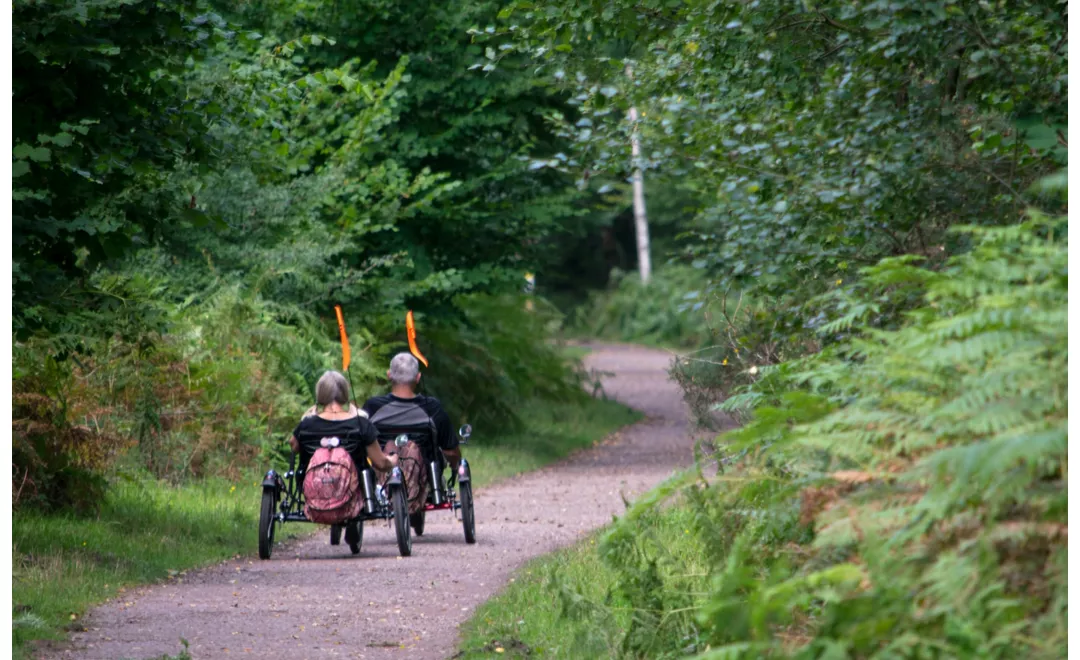 Accessible cycle routes in Emilia Romagna, Italy - Italia.it