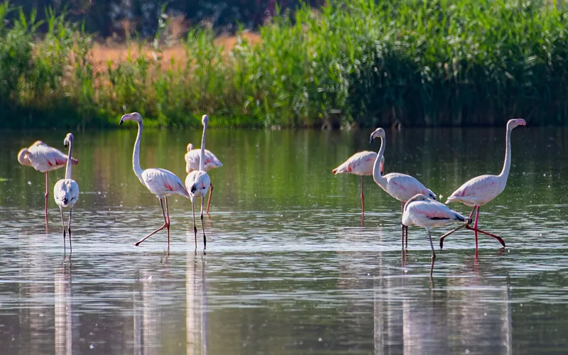 La Romaña de la tierra, el bienestar rural