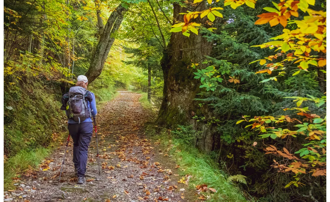 emilia romagna trekking and cycling