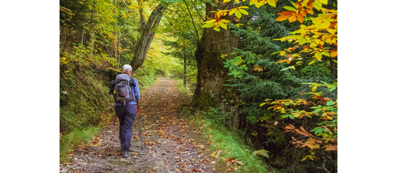 emilia romagna trekking e cicloturismo