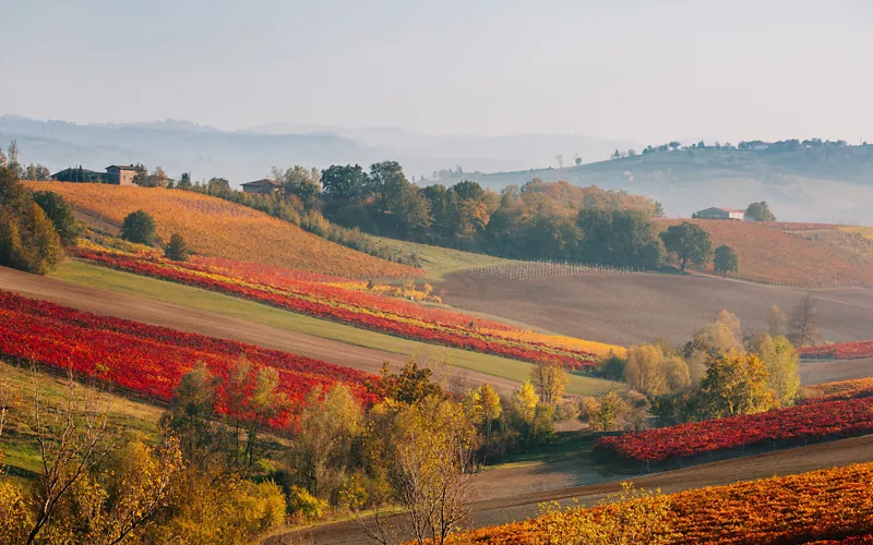 colline autunnali